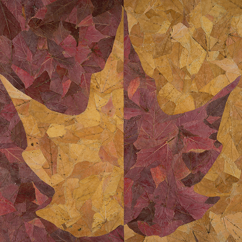 Leaf Fragments Reassembled